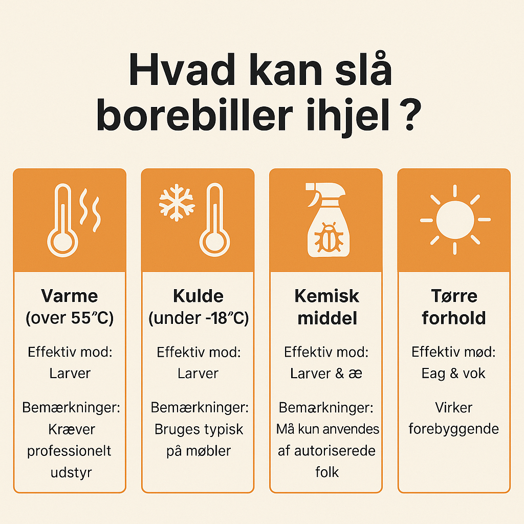 Infografik med tips til at slå borebiller ihjel. Bemærk at visse løsninger kræver en professionel skadedyrsbekæmper